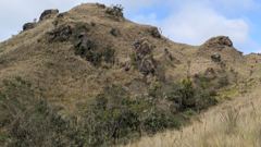mountain or valley landscape