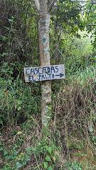 trail sign in forest