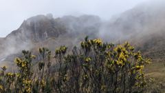 mountain or valley landscape