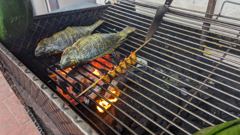 grill with fish or meat and skewers