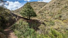 narrow dirt trail through dry hillside