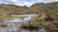 highland lake and rocky stream