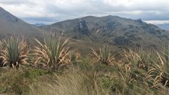 highland mountain panorama