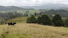 mountain or valley landscape
