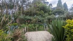 garden path