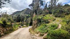 dirt mountain road through green hills