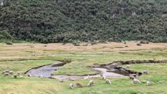 highland wetland and stream