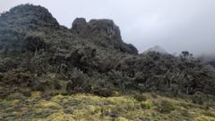 mountain or valley landscape