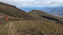 distant valley from open slope