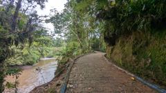 green corridor path