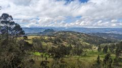 wooded valley panorama