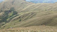 rolling highland hillside