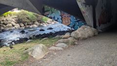 urban river under bridge
