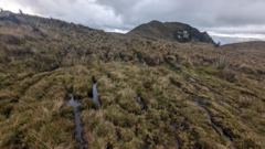highland mountain landscape