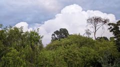 mountain or valley landscape