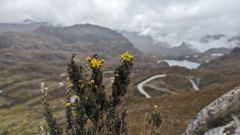 winding highland road and valley
