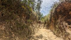 dry hillside trail