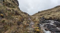 rocky stream in highlands