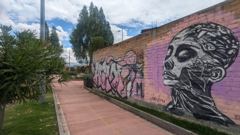 long pink mural wall