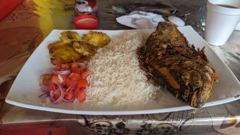 prepared plate of rice and grilled food