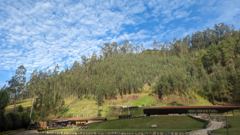 mountain or valley landscape