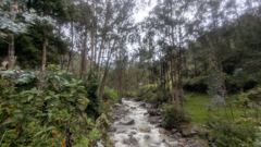 mountain or valley landscape