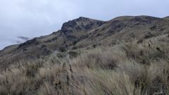 mountain or valley landscape