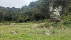 open grassy area with rocky outcrop and trees