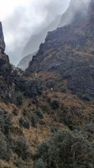 mountain or valley landscape