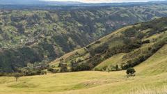green valley and hillside fields