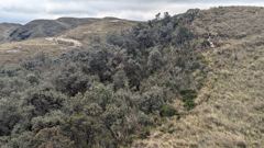 scrubby highland landscape
