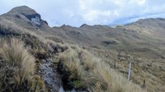 open highland landscape