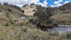 highland lake and mountain landscape