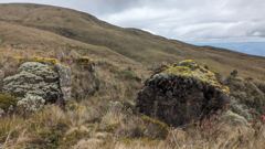 rolling paramo hills and rocks