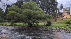 mountain or valley landscape
