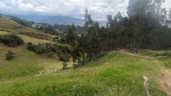 grassy hillside trail