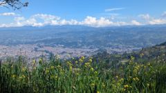 mountain or valley landscape