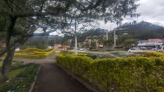 tree-lined park path