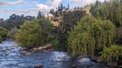 river through green public area