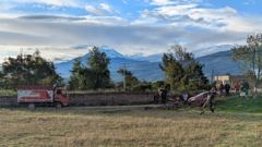 rural field and horse