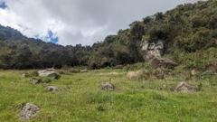 green field and forested hills