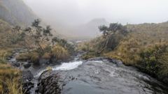 mountain or valley landscape