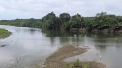 river landscape