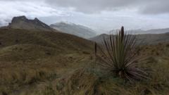 mountain or valley landscape