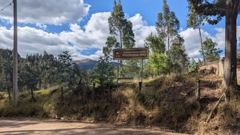 roadside sign near trees