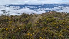 mountain or valley landscape