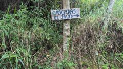 trail or place sign beside vegetation