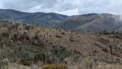 mountain or valley landscape