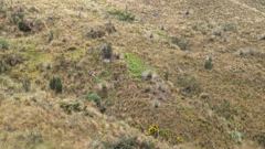 highland mountain landscape