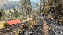 dry hillside trail near building